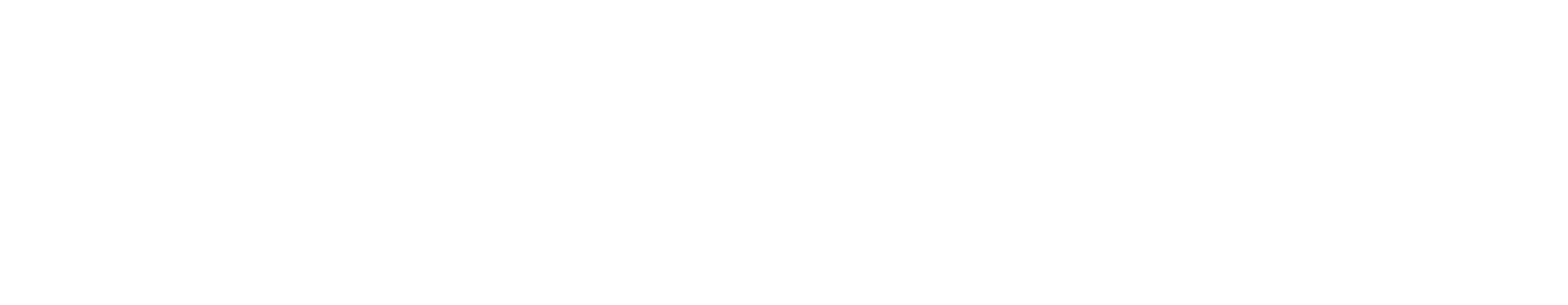 logo verkami blanco